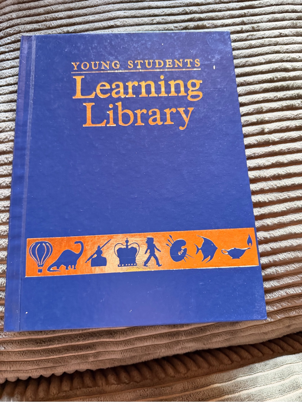 Young Students Learning Library Hardcover  World Outlet
